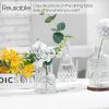 Glass Bud Vases Set of 12, Small Vases for Centerpieces, Vintage Mini Vases for Wedding Decor, Clear Glass Bud Vase in Bulk, Office and Home Table Fl